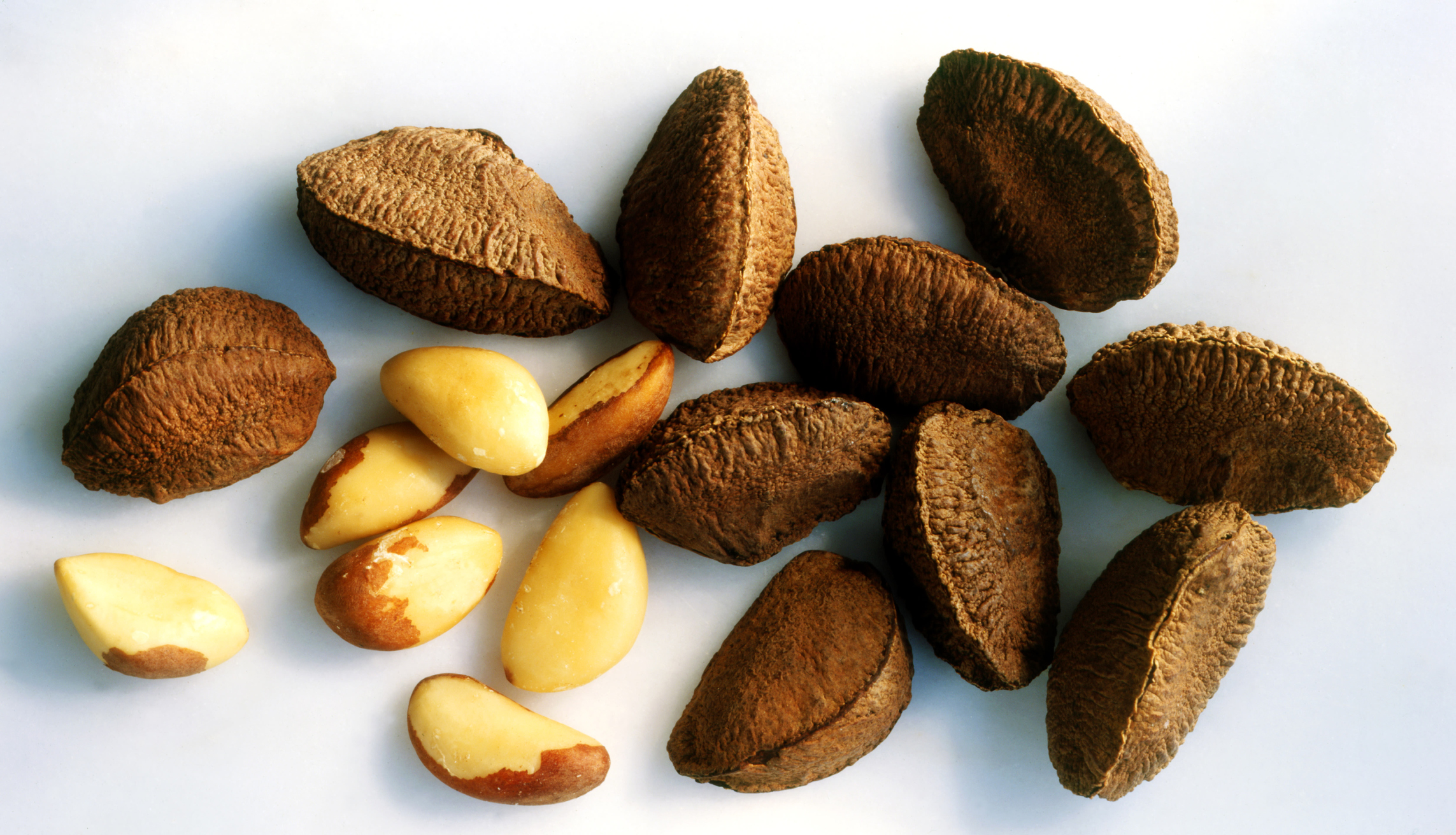 бразильский орех