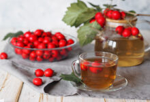 Боярышник польза и вред